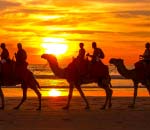 Cable Beach camels at sunset, Broome