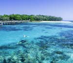 Snorkelling on the Great Barrier Reef at Green Island