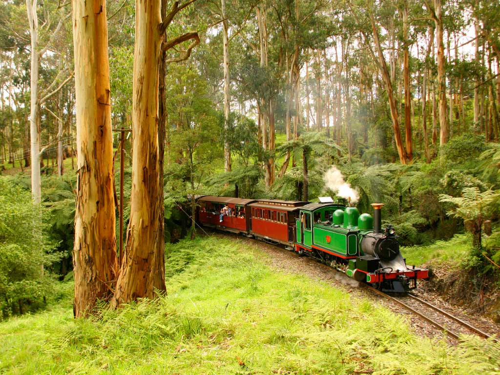 dandenong puffing billy tour