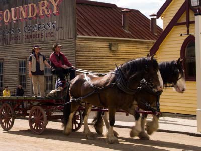 Horse and cart on the streets of Sovereign Hill