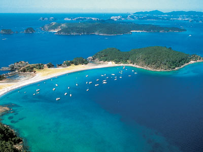 Bay of Islands aerial photo