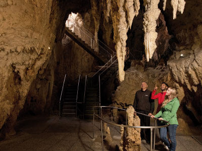 Waitomo Caves, Cathedral Cave