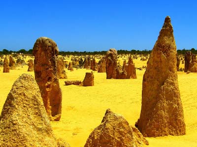 Pinnacles Desert Tours