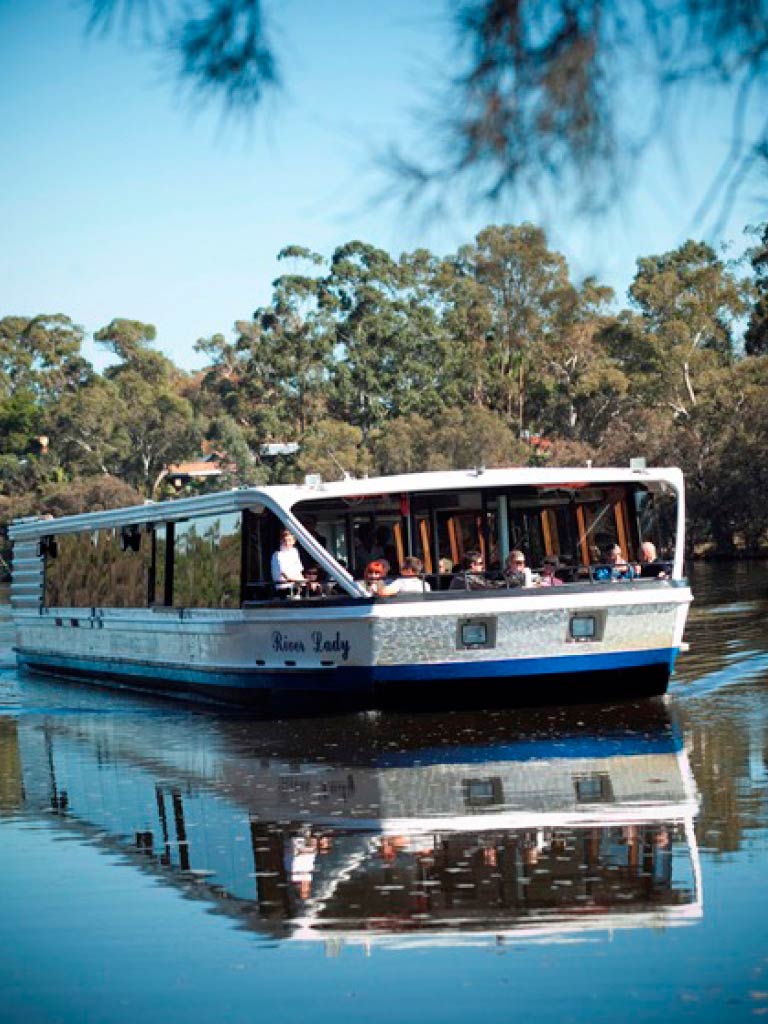swan river afternoon tea cruise