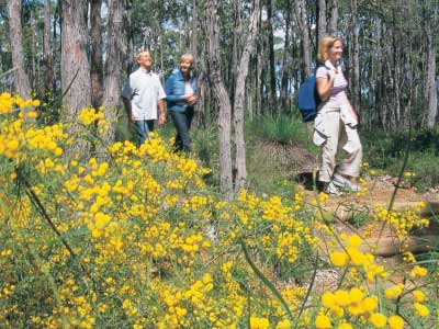 Admiring wildflowers from Perth, Western Australia