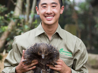 Keeper with echidna at Featherdale Wildlife Park